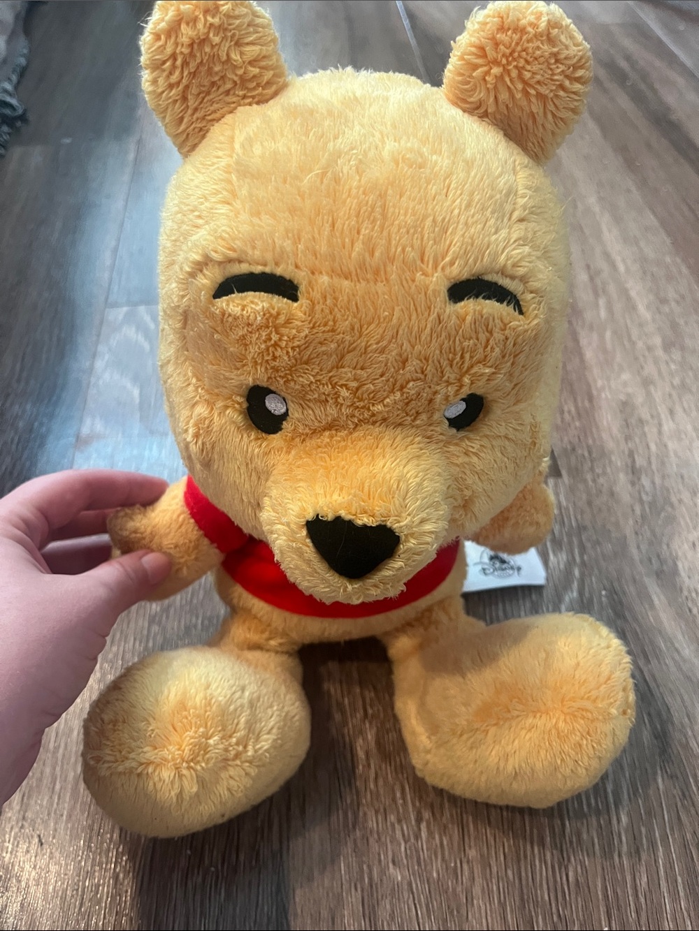 Disney Parks Winnie the Pooh plush